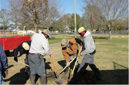 Arbor Day tree planting