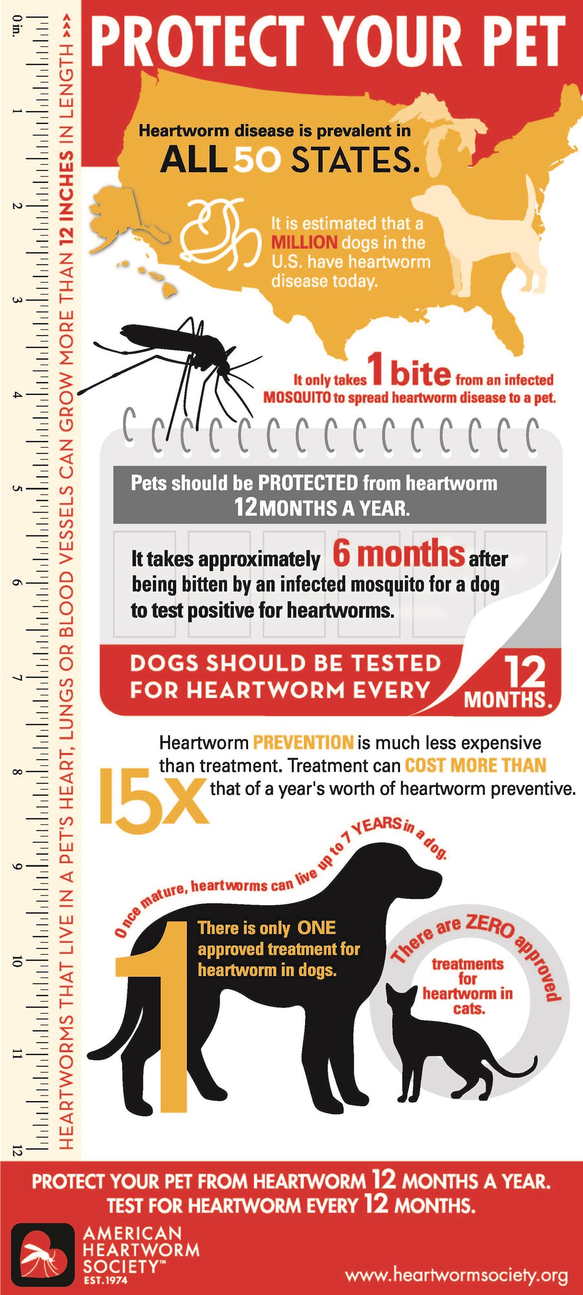 ProtectYourPetInfographic2018